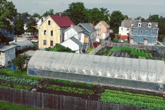 from-the-roof
