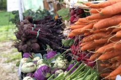 stand-veg1