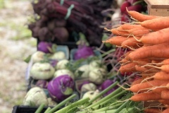 stand-veg3