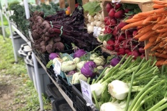 stand-veg4