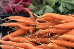 stand-veg5