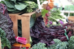 stand-veg6