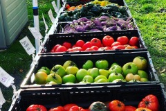 stand-veglong2