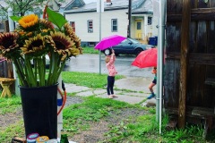 umbrella1